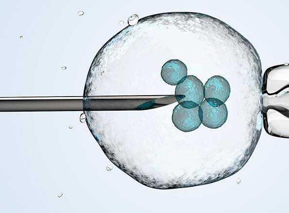做试管婴儿和备孕前怎么保护好精子？